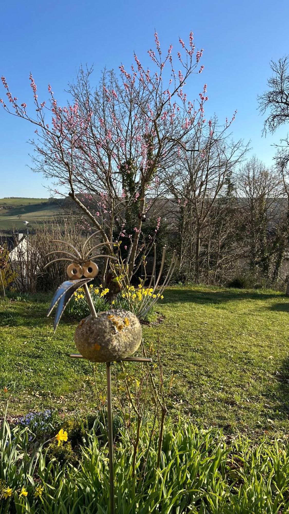 Apartmán Panoramablick Bad Sobernheim Exteriér fotografie